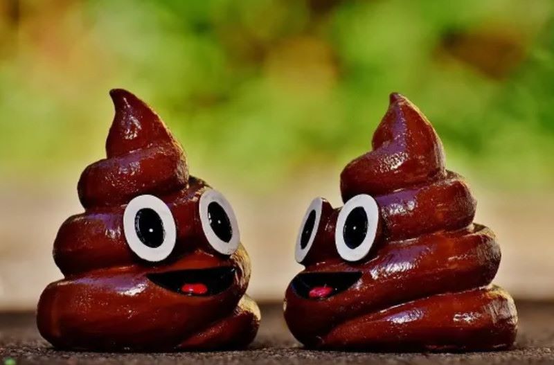 Đánh Số Đề Bao Nhiêu Khi Mơ Thấy Cứt Bê Bết Đi Mưa Đánh Số Đề Bao Nhiêu Khi Mơ Thấy Cứt Bê Bết Đi Mưa